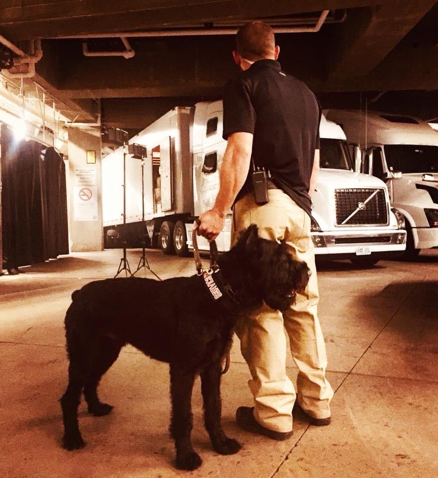 Estate Security Services